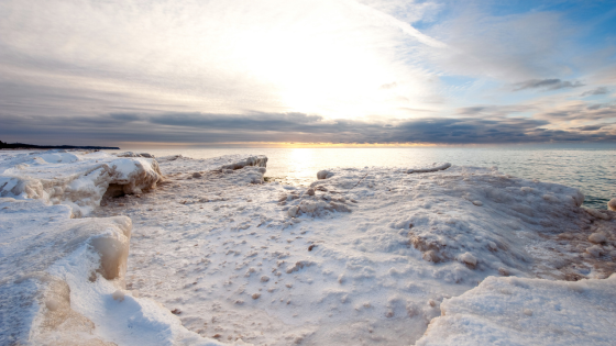 Explore Winter Activities at These MI Parks | Cressy & Everett Real Estate